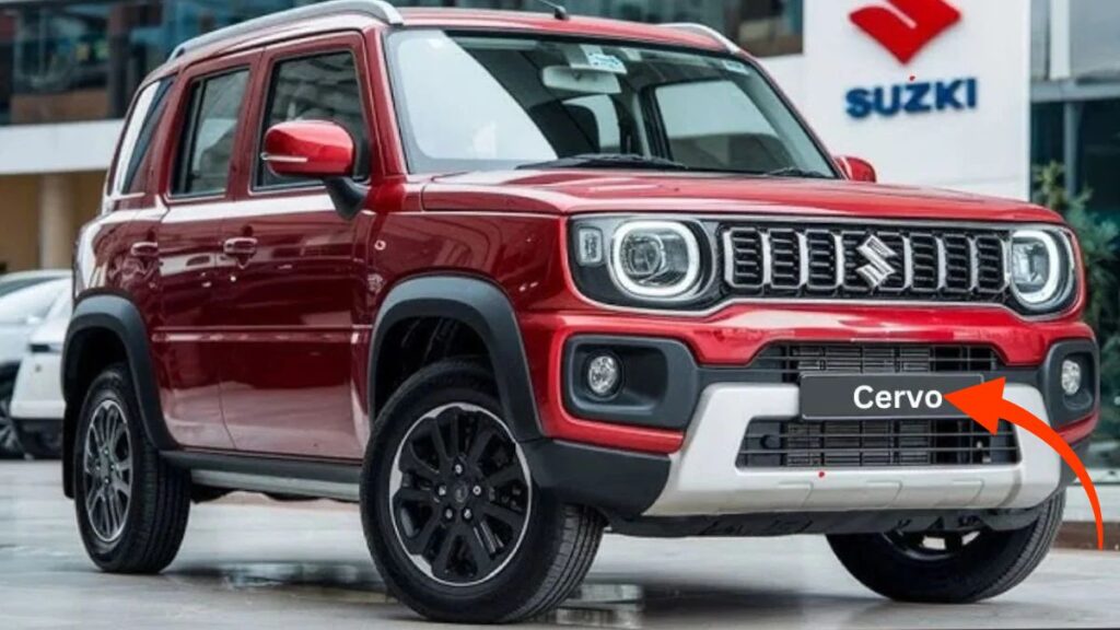 Maruti Cervo